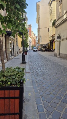 Eladó üzlethelyiség, V. kerületben, Nyáry Pál utcában