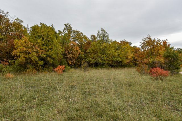 Eladó telek, Pécselyen 19.99 M Ft / költözzbe.hu
