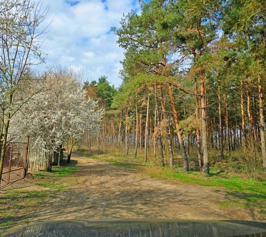 Eladó telek, Debrecenben 3.2 M Ft / költözzbe.hu