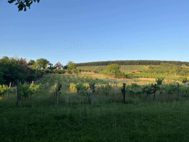 Eladó mezogazdasagi ingatlan, Balatonlelleén 32.5 M Ft