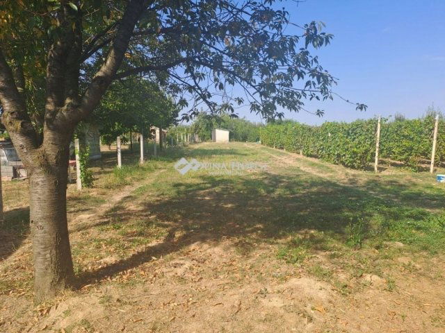 Eladó nyaraló, Kacsótán 6.5 M Ft, 3 szobás