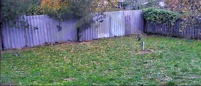 Eladó családi ház, Varsányon 39.9 M Ft, 6 szobás