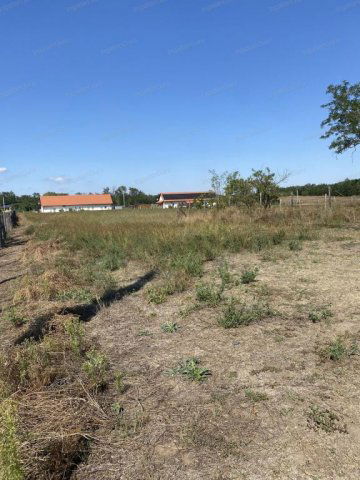 Eladó mezogazdasagi ingatlan, Kecskeméten 26 M Ft