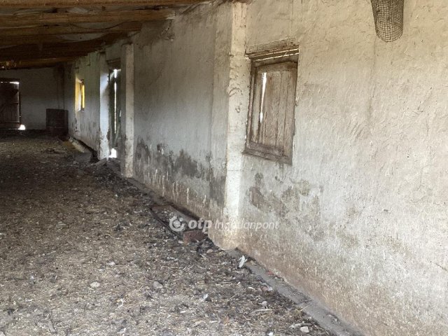 Eladó mezogazdasagi ingatlan, Gyomaendrődön 62.7 M Ft