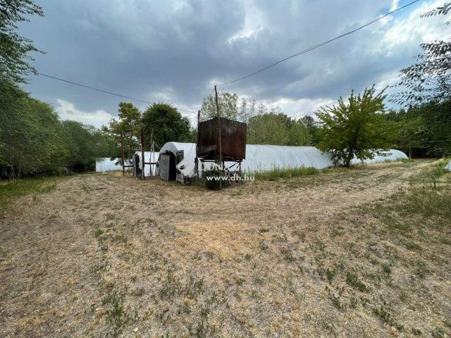 Eladó mezogazdasagi ingatlan, Jászszentlászlón 42 M Ft, 5 szobás