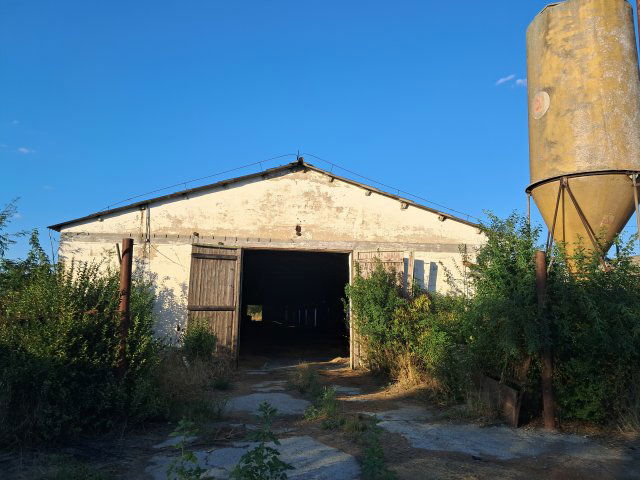 Eladó mezogazdasagi ingatlan, Besenyszögön 95 M Ft