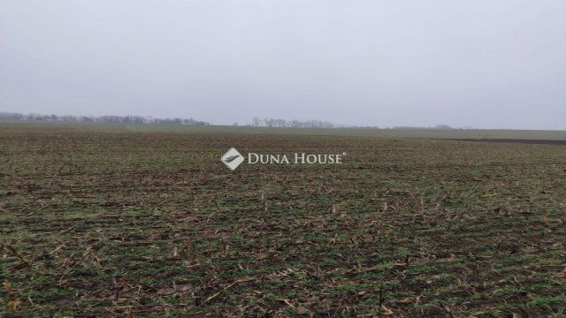 Eladó telek, Siófokon 2.5 M Ft / költözzbe.hu