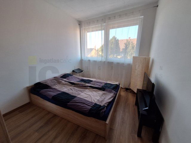 Kiadó téglalakás, albérlet, Szegeden, Alföldi utcában