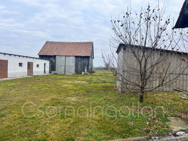 Eladó családi ház, Egyeden 38 M Ft, 4 szobás