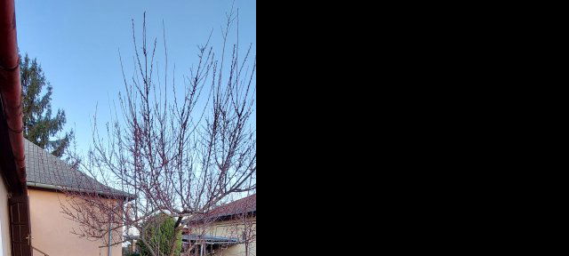 Eladó telek, Debrecenben, Dorottya utcában 110 M Ft