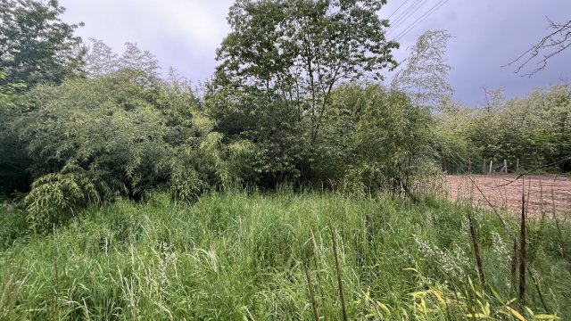 Eladó telek, Esztergomban 19.9 M Ft / költözzbe.hu