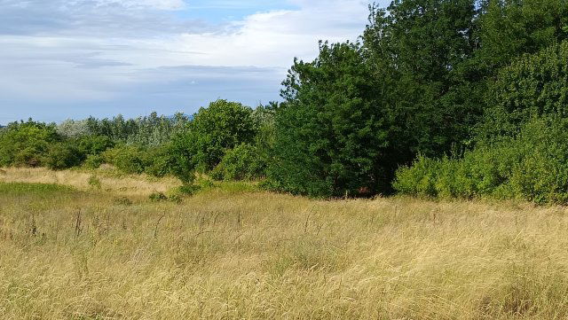 Eladó mezogazdasagi ingatlan, Tokodon, Bajnai úton 7.5 M Ft