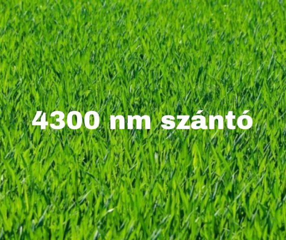 Eladó mezogazdasagi ingatlan, Szatymazon 1.9 M Ft