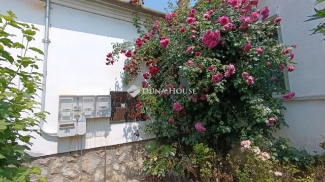 Eladó családi ház, Bólyban 51.9 M Ft, 6 szobás