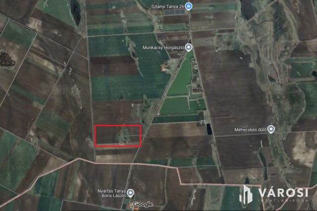 Eladó mezogazdasagi ingatlan, Gyulán 20.9 M Ft