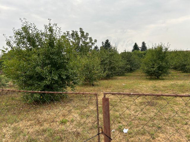 Eladó telek, Ibrányban 5 M Ft / költözzbe.hu