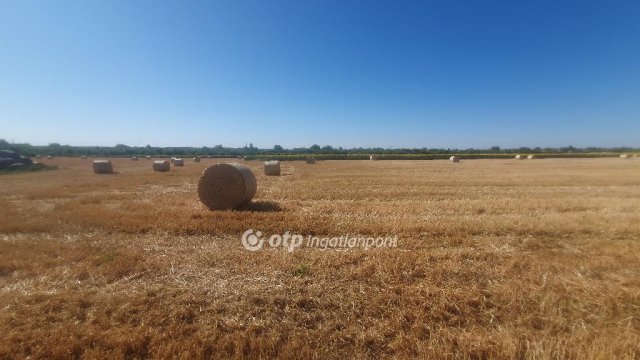 Eladó mezogazdasagi ingatlan, Tiszalúcon 315 M Ft