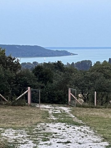 Eladó telek, Balatonalmádiban 72.9 M Ft / költözzbe.hu