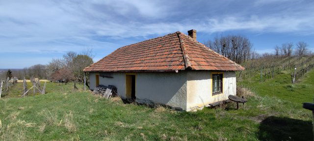 Eladó mezogazdasagi ingatlan, Zalaszentgróton 3 M Ft