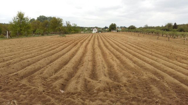 Eladó telek, Nyíregyházán 5.5 M Ft / költözzbe.hu