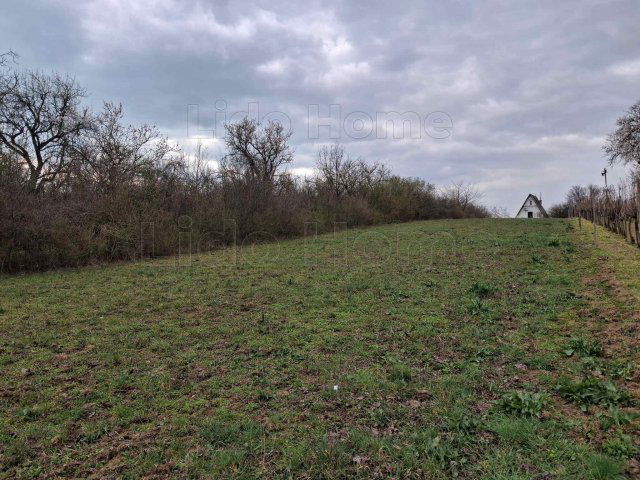 Eladó mezogazdasagi ingatlan, Balatonalmádiban 15 M Ft