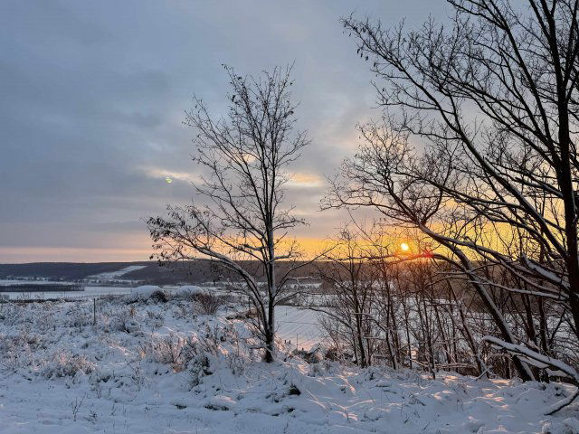 Eladó telek, Tényőn 14.2 M Ft / költözzbe.hu