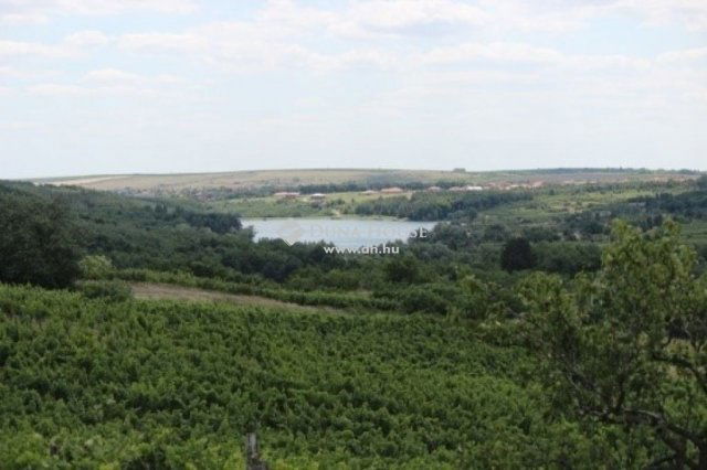 Eladó mezogazdasagi ingatlan, Egerben 215 M Ft