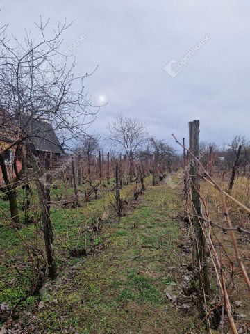 Eladó telek, Komáromban 7.5 M Ft / költözzbe.hu