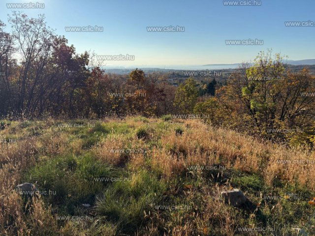 Eladó telek, Szentendrén 60 M Ft, 1 szobás / költözzbe.hu