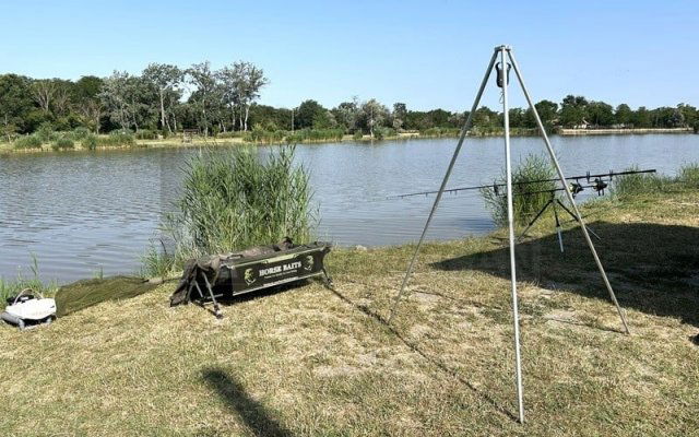 Eladó mezogazdasagi ingatlan, Szegeden 230 M Ft