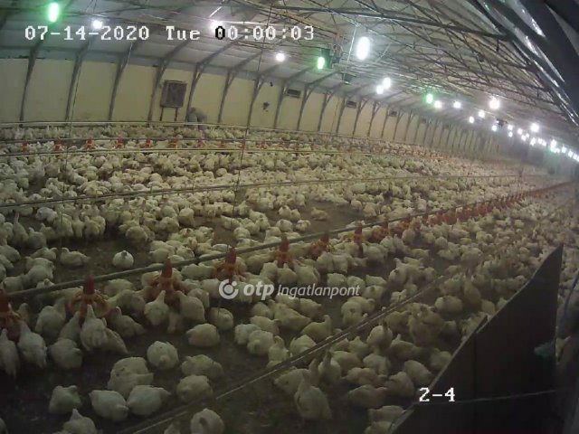 Eladó mezogazdasagi ingatlan, Csőszön 298 M Ft