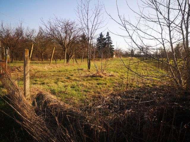 Eladó mezogazdasagi ingatlan, Gyulán 5.9 M Ft