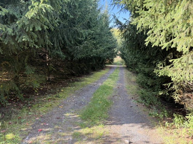 Eladó mezogazdasagi ingatlan, Napkoron 14 M Ft, 3 szobás