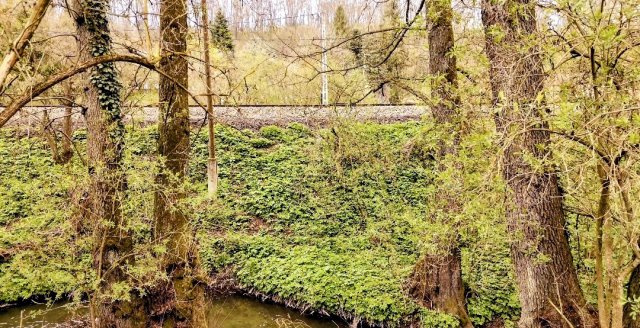 Eladó nyaraló, Verőcén 23.9 M Ft, 1 szobás