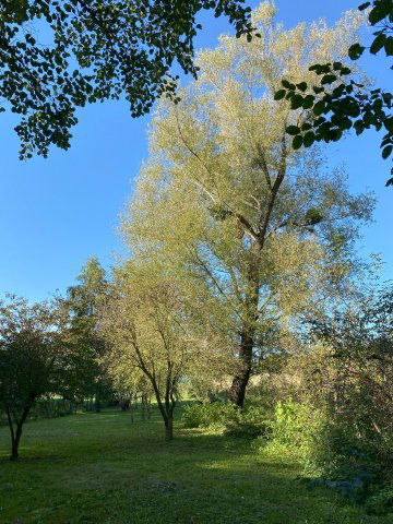 Eladó családi ház, Bezeréden 69.5 M Ft, 3 szobás