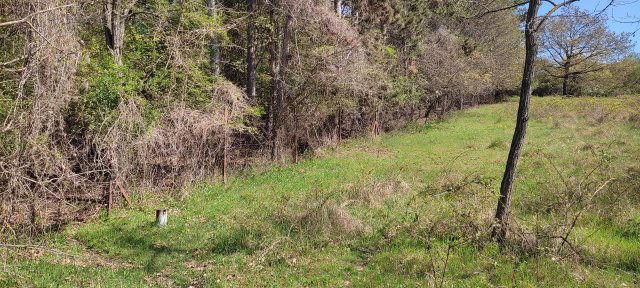 Eladó telek, Sukorón 11.2 M Ft / költözzbe.hu