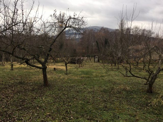 Eladó telek, Badacsonytomajon 95 M Ft / költözzbe.hu