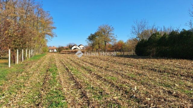 Eladó telek, Tenken 3.2 M Ft / költözzbe.hu