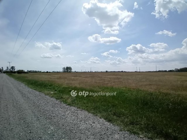 Eladó telek, Berettyóújfaluban 5.99 M Ft / költözzbe.hu