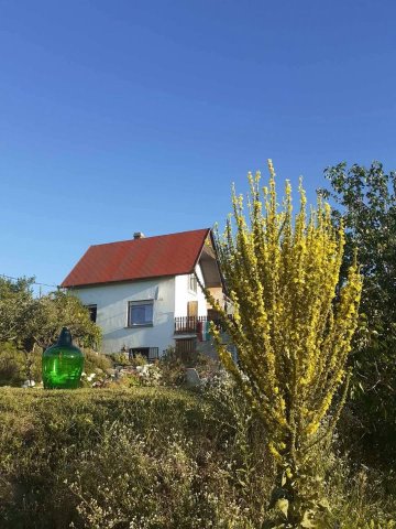 Eladó családi ház, Pécsett 45 M Ft, 3 szobás