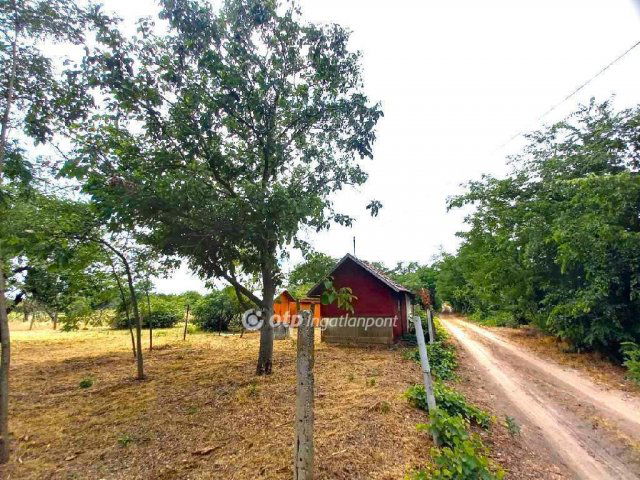 Eladó nyaraló, Csongrádon 2 M Ft, 1 szobás