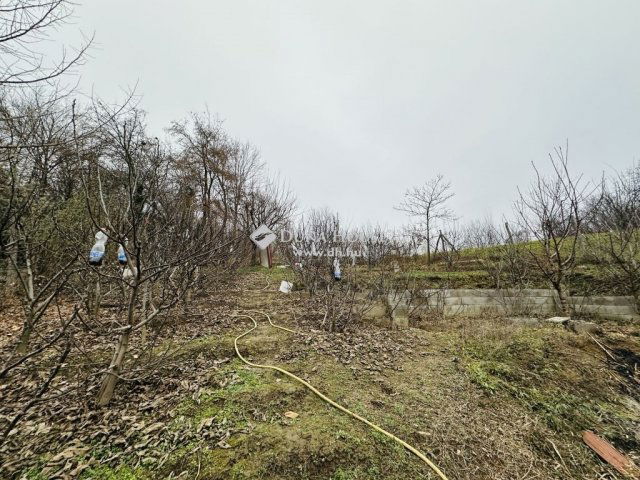 Eladó családi ház, Pilismaróton 238.1 M Ft, 12 szobás