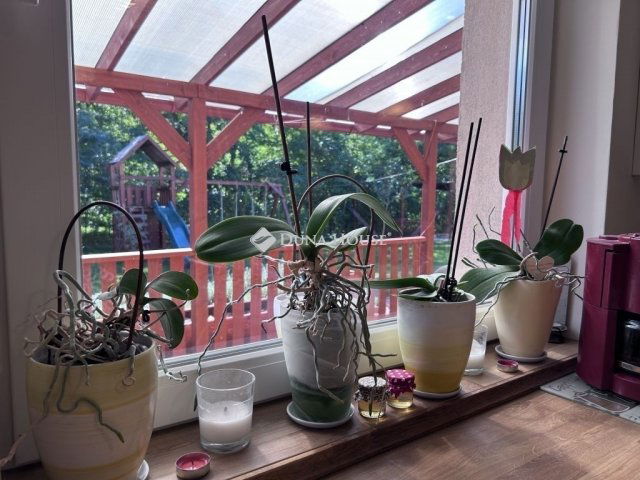 Eladó családi ház, Erdőkertesen 129.9 M Ft, 5 szobás