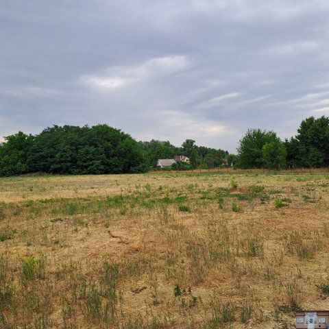 Eladó telek, Monorierdőn 14.5 M Ft / költözzbe.hu