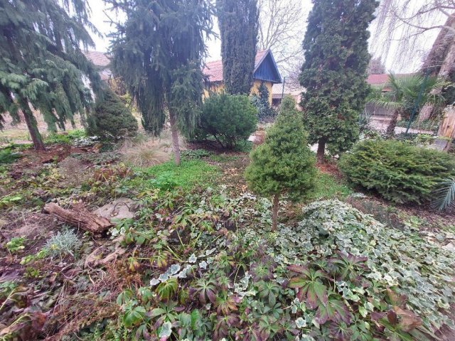 Eladó családi ház, Hódmezővásárhelyen 83 M Ft, 5+1 szobás