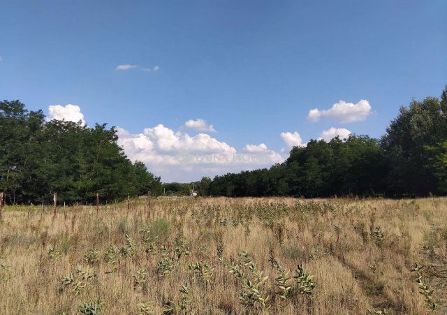 Eladó mezogazdasagi ingatlan, Lajosmizsén 3.5 M Ft