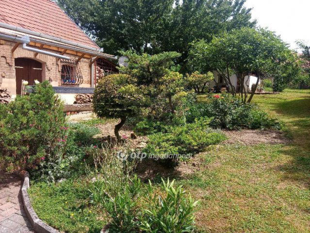 Eladó családi ház, Sásdon 27 M Ft, 2 szobás