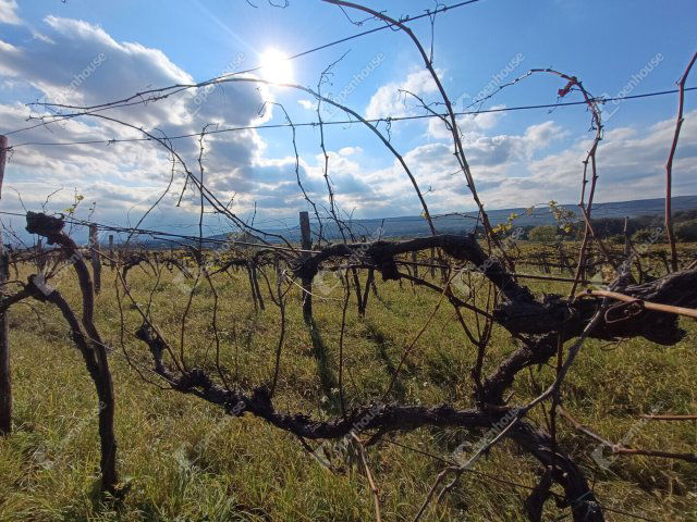 Eladó telek, Harkán 4.4 M Ft / költözzbe.hu