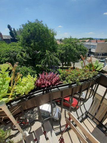 Kiadó téglalakás, albérlet, VII. kerületben, Bethlen Gábor téren