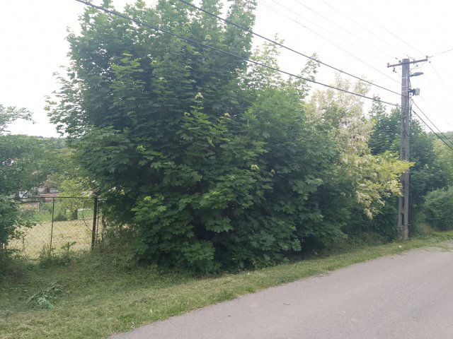 Eladó telek, Bálványoson 11.2 M Ft / költözzbe.hu